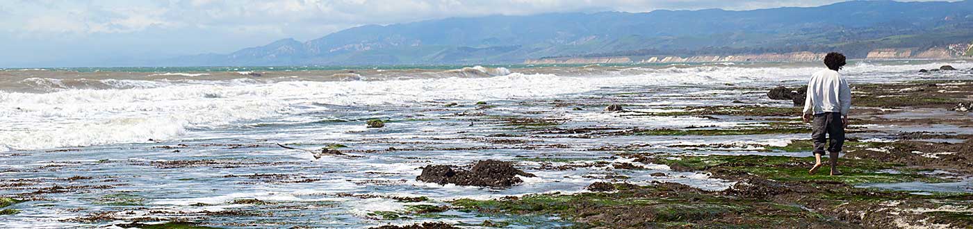 Solitary student walking on beach during class field trip